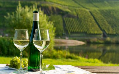 All About Müller-Thurgau